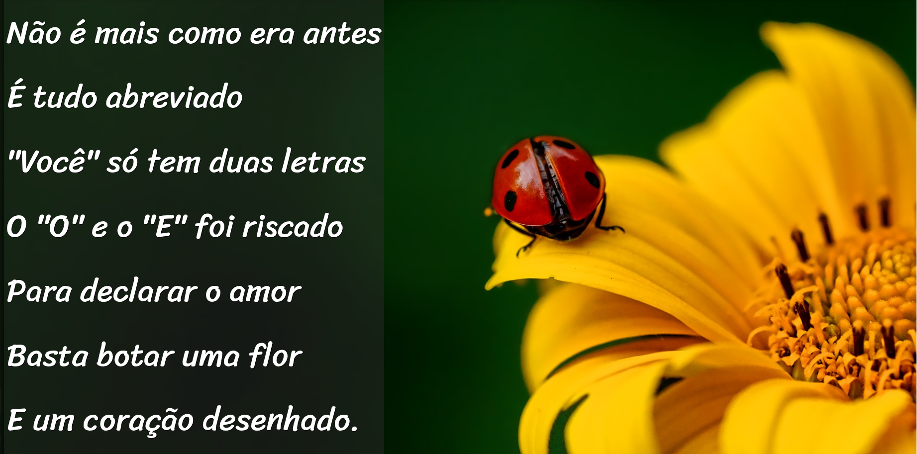 projeto 2